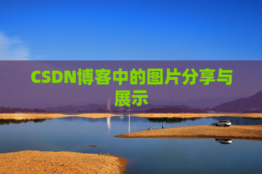CSDN博客中的图片分享与展示